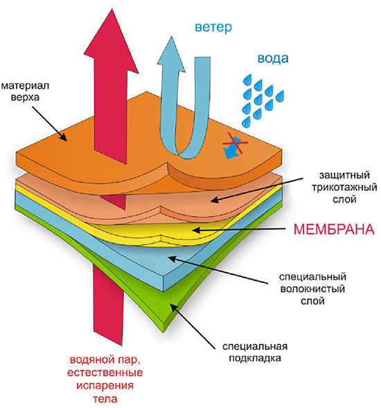 Как работает мембрана